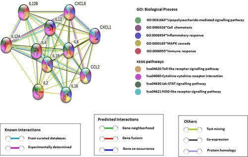 Figure 7 Protein-protein interaction network. STRING database analysis of medium-confidence protein interactions (interaction score, >0.4) between identified cytokines in T2DM_CAD patients. The circles represent proteins, while the straight lines represent the interactions between different proteins. The line thickness indicates the strength of evidence, with thicker connections indicating higher confidence in the protein-protein interaction.