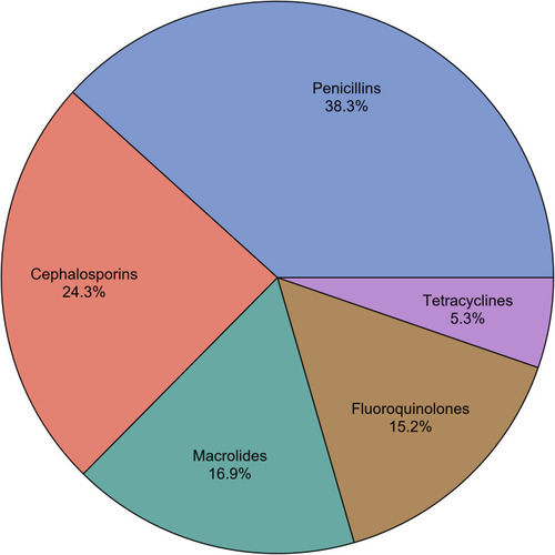 Figure 1 The most commonly dispensed oral antibiotics in community pharmacy settings based on the participants’ responses.