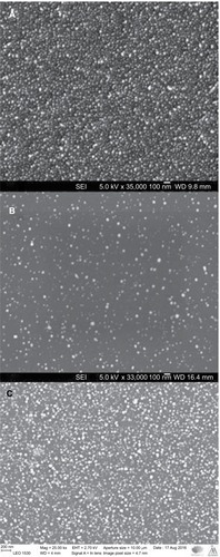 Figure 5 SEM image showing silver nanoparticles on the glass surface with direct 30× (A) and indirect 30 s (B) deposition, and direct 30× deposition on PET surface (C).