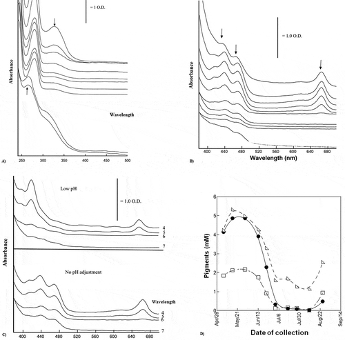 Figure 4. (a) UV spectra of methanol extracts of Sullaj during ripening; (b) visible spectra of methanol extracts of Sullaj date; (c) visible spectra of methanol extracts of Sullaj at different pH; (d) chlorophyll and carotenoid content of Sullaj during ripening