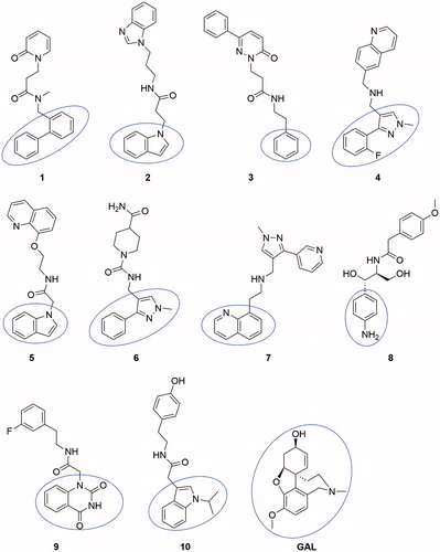 Figure 1. Structures of the top 10 best-scored hits. The fragments binding in CAS are given by ellipse.