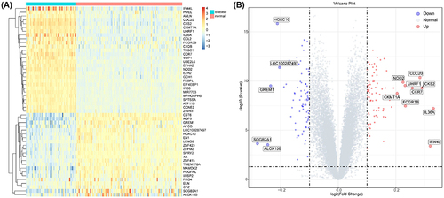 Figure 1 Differential analysis of GSE13355. (A) The heatmap of the top 50 DEGs associated with psoriasis in the GSE13355 dataset. (B) The volcano plot of differential analysis.