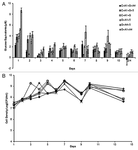 Figure 3. (A) Reducing sugar equivalents (µM) released by 2 tetra-culture and 4 tri-cultures of bacteria during aerobic incubation over 14 d with imitation media: 0.5% (w/v) microcrystalline cellulose and 0.5% (w/v) beechwood xylan. (B) Bacterial consortia mixed cell densities in log(CFU/ml) for bacterial consortia grown in imitation media for 14 d. Consortia: C + A1 + G + A4 (♦), C + A1 + G + 5 (□), G + A1 + A4 (Δ), C + A1 + G (x), G + A1 + 5 (+), G + A4 + 5 (○).