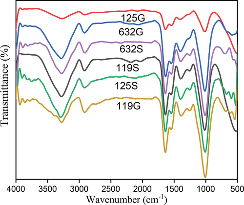 Figure 1. FTIR spectra of haricot bean flour: 119S, SER 119 variety Soaked; 119G,SER 119 variety germinated; 632S, SAB 632 variety soaked; 632G,SAB 632 variety germinated; 125S, SER125 variety soaked;125G= SER125 variety germinated.