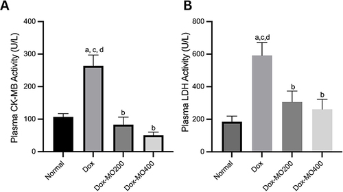 Figure 2 Plasma CK-MB (A) and LDH (B) activities in rats after treatment of doxorubicin or doxorubicin with Moringa oleifera leaves extracts.