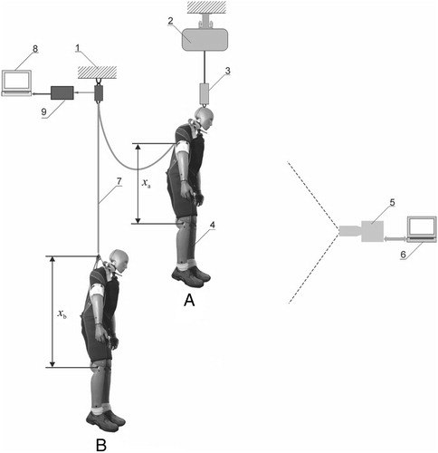 Figure 1. Experimental setup for testing safety harnesses during fall arrest. Note: 1 = rigid beam; 2 = crane; 3 = electromagnetic latch; 4 = anthropomorphic dummy fitted with a safety harness; 5 = high-speed digital video camera; 6 = computer connected to the camera; 7 = lanyard; 8 = computer with a data-acquisition system; 9 = force transducer with an analog filter and amplifier; A = state prior to fall initiation; B = state following fall arrest.