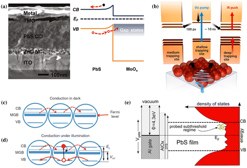 Figure 15. (a) Cross-sectional scanning electron microscopy image and band structure of a device with MoOX selective contact. TMO stands for transition metal oxide, NC for nanocrystal, ITO for indium tin oxide, CB for conduction band and VB for valence band. Reprinted with permission from [Citation147]. Copyright 2011 American Chemical Society. (b) Push pump photocurrent method to probe trap states. Reprinted with permission from [Citation149]. Copyright 2013 American Chemical Society. Mid-gap band (MGB) conduction (c) in the dark and (d) under illumination along with simulated density of states. Reprinted with permission from [Citation153]. Copyright 2011 Nature Publishing Group. (e) Band diagram showing a schematic density of states in the quantum dot film on the right. Reprinted with permission from [Citation154]. Copyright 2013 American Chemical Society.