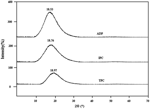 Figure 4. X-ray graphs of poly(ether ether sulfone amide)s.