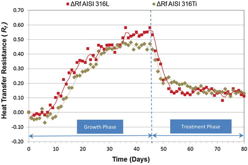 Figure 4. Evolution of the heat transfer resistance (Rf) mean values during the study with TA.