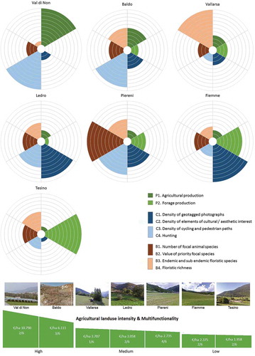 Figure A1. Flower diagrams representing the normalized value of the 6 aggregated ES and biodiversity indicator for the seven study areas. Individually, each flower diagram allows visualizing the tradeoffs and synergies among ES and biodiversity within a study area; overall, the diagrams allow comparison of the performance of the study areas. Note that the study sites are displayed based on their value of agricultural land-use intensity (i.e. P1 + P2 expressed in €/ha). Accordingly, the study areas are divided into three groups of agricultural land-use intensity, specifying the degree of multifunctionality, i.e. number of ES and biodiversity indicators that exceed the threshold value of 0.5 (see bottom).