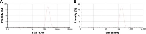 Figure 4 Diameter distribution of Lip-ABC or Lip-PBS after HIFU Intervention.Notes: (A) Lip-ABC diameter distribution after HIFU intervention. (B) Lip-PBS diameter distribution after HIFU intervention.Abbreviations: Lip-ABC, liposomes containing ammonium bicarbonate; HIFU, high-intensity focused ultrasound; Lip-PBS, liposomes containing phosphate-buffered saline.