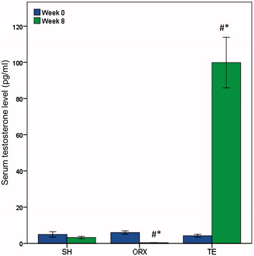 Figure 1. Serum testosterone level of the study groups. Orchidectomy was performed at week 0 and all rats were sacrificed at week 8. Testosterone enanthate at 7 mg/kg body weight was administered to the TE group for 8 weeks. Testosterone level decreased with orchidectomy and increased with testosterone enanthate treatment. #Indicates significant difference (p < 0.05) versus week 0 within the treatment group. *Indicates significant difference (p < 0.05) versus the SH group at week 8.