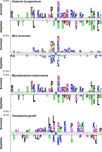Figure 2 Sequence logo showing the occurrences of amino acid propensities of surrounding succinylation and candidate nonsuccinylation sites for seven different organisms, including Homo sapiens, Mus musculus, Escherichia coli, Mycobacterium tuberculosis, Saccharomyces cerevisiae, Toxoplasma gondii, and Solanum lycopersicum.Notes: The sequence logo is generated by two sample logos software (http://www.twosamplelogo.org/). Copyright (c) 2005 Vladimir Vacic, Lilia M. Iakoucheva, and Predrag Radivojac.Citation34