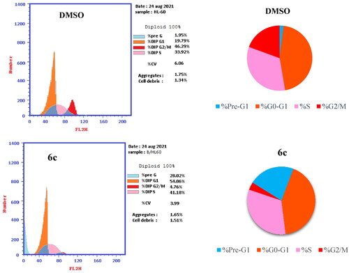 Figure 7. Effect of DMSO (upper two panels) and compound 6c (lower two panels) on the cell cycle distribution of HL-60(TB) cancer cell line.