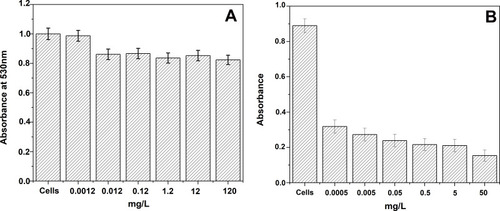 Figure 7 Toxicity test of cobalt metal nanoparticles (A) on HEK 293 cells, (B) on PPC-1 cells.