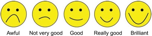 Figure 3 Smiley-o-meter.