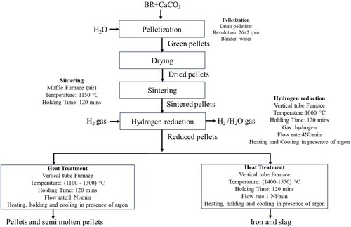 Figure 1. Experimental flow sheet of complete process.