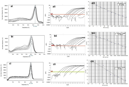 Figure 4 Analytical sensitivity of Real-time PCR for primers used to detect class B β-lactamases genes in clinical isolates of P. aeruginosa. ai to aiii: blaGES; ai: Melting curve in 86.86°C; aii: Amplification curve; and aiii: Standard curve with efficiency=1.808. bi to biii: blaIMP gene; bi: Melting curve in 80.16°C; bii: Amplification curve; and biii: Standard curve with efficiency=1.742. ci to ciii: blaVIM gene; ci: Melting curve in 84.84°C; cii: Amplification curve; and ciii: Standard curve with efficiency=1.575. The mean of a: 108; b: 107; c: 106; d: 105; e: 104; f: 103; g: 102; h: 101 and i: 10° CFU/mL of DNA dilutions. Horizontal lines represent cycle threshold of Real-time PCR. One peak with a shoulder corresponds to genomic DNA amplification; no peak corresponds to no amplification. SYBR Green I Dye and single-tube reaction were used in this test. Also, Real-Time PCR was performed as single-step.