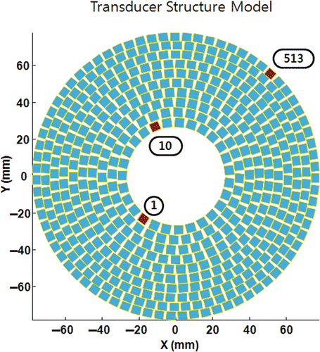 Figure 1. A 513 element transducer. The focal point is 150 mm from the surface of the transducer. Elements of 1st, 10th, and 513th were used as the basis to calculate the phase and amplitude conditions of anti-focus later in this presentation.