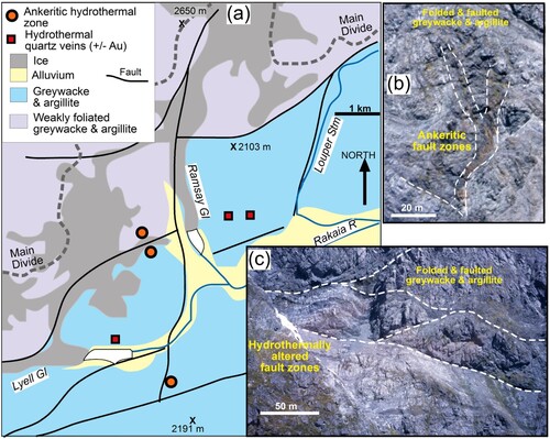 Figure 6. Lithological and structural setting for hydrothermal zones in the Upper Rakaia catchment. A, Geological map modified after Craw et al. (Citation2002). B, Photograph of ankeritic alteration in a mountain face between Lyell and Ramsay Glaciers. C, Photograph of hydrothermally bleached and Fe-stained fault zones, to east of Ramsay Glacier.