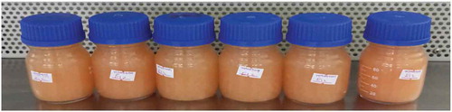 Figure 5. Processed guava juice.