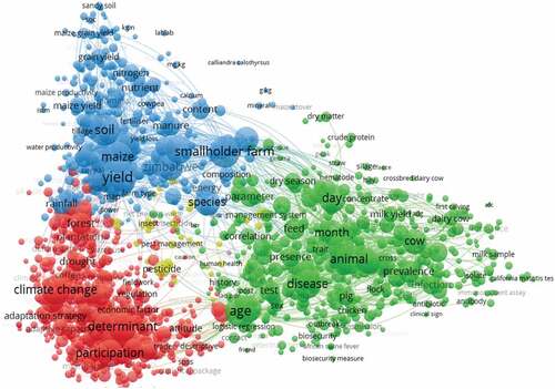 Figure 8. Network (clusters) of terms in abstracts and titles.