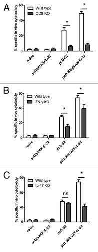 Figure 6. Impairment of antigen-specific cytotoxic T lymphocyte response in CD8 KO mice and IL-17 KO mice. Mice were immunized with HBV DNA vaccine and pVAX-IL-22 plasmid. CTL assay was performed 7 d after the last immunization as described in Methods. The percentage of specific lysis and SEM is shown for (A) CD8 KO mice and wild type mice; (B) IL-17 KO mice and WT mice; (C) IFN-γ KO mice and WT mice. In each case, the results are representative of three independent experiments (*p < 0.05).