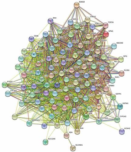 Figure 4. Protein–protein interaction (PPI) network of drug and disease intersected targets