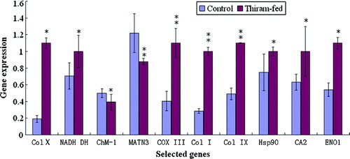 Figure 2.  Analysis of the genes differentially expressed in growth plates. The levels of mRNA transcripts for 10 genes were determined by real-time PCR. Relative quantification of gene amplification was performed using the Ct values. Statistical differences were analysed by Student t test. *P<0.05, significant; **P<0.01, very significant.