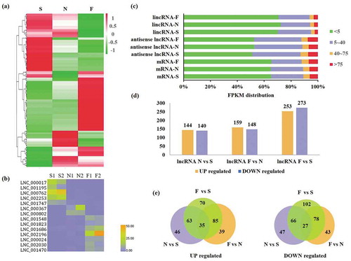 Figure 2. Expression of lncRNAs and mRNAs in early (S), middle (N), and late (F) stages of G. biloba embryo development. (a) Cluster heatmap of differentially expressed lncRNAs in embryos during the three stages. (b) Heatmap of specific expression of 30 lncRNAs at three stages of embryo development. (c) Proportion of FPKM distribution of lincRNAs, antisense lncRNAs, and mRNAs in the three stages of embryo development. (d) Number of upregulated or downregulated lncRNAs in N vs. S, F vs. N, and F vs. S. (e) Number of common/speciﬁc up- or downregulated lncRNAs in N vs. S, F vs. N, and F vs. S.