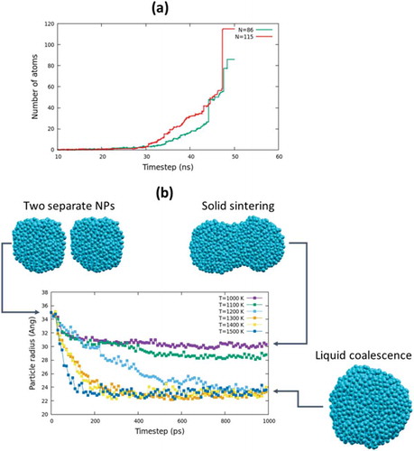 Figure 2. (a) evolution of the number of atoms during the simulation for two characteristic clusters of finite size 86 Si atoms (green line) and 115 Si atoms (red line); the simulation has been carried out at P = 1.00 atm and T = 2000 K in a mixture made of 25% Si and 75% Ar. (b) Sintering plot for two particles made of about 1000 atoms (radius about 1.7 nm) on a temperature range between 1000 and 1500 K; initial and final structures (cyan balls).