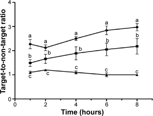 Figure 4 Quantitative analysis of scintigraphic images.Notes: Quantitative analysis of scintigraphic images of healthy- (▲), osteomyelitis bearing- (•), and aseptic inflammation bearing- (■) Wistar rats after intravenous injection of BT-CFT-LC-Lip. The results are expressed as mean ± standard deviation (n=5). The letters a, b, and c indicate statistically significant difference between groups for each time interval (P<0.05).Abbreviation: BT-CFT-LC-Lip, alendronate-coated long-circulating liposomal formulation containing 99mtechnetium labeled ceftizoxime.