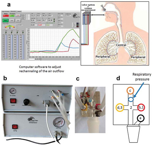 Figure 1. Device description showing the valve system with the different temperature sensors. Computer software (a) is used to adjust the rechannelling of the air outflow from the different airway compartments (central and peripheral airways). Pictures show the apparatus (b) and handheld sensor system (c), and a schematic figure (d) of the sensor system shows the four valves (a-d) and the three sensors (1–3). Valve ‘a’ is open during inhalation, and valve ‘b-d’ are open during the first, second and third fractions, respectively, of the exhalations. Sensor 1–3 measures exhaled breath temperature in the first (blue curve in (a)), total (green curve in (a)) and third (red curve in (a)) fractions, respectively