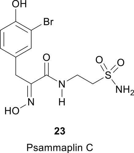 Figure 6 The natural product sulfonamide Psammaplin C, 23.Citation96