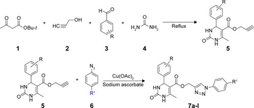 Figure 1 Synthesis of 1,2,3-triazole hybrid with dihydropyrimidinone scaffolds 7a-l.