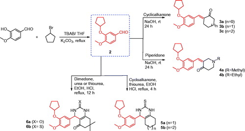 Scheme 1. Synthesis of the designed compounds 3–6.