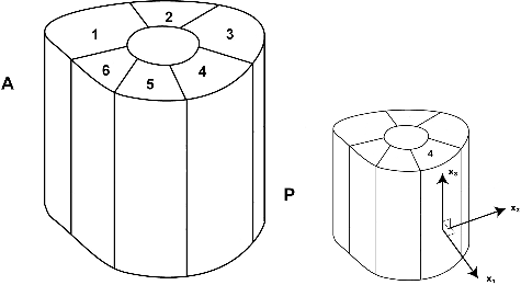 Figure 3. Six material regions of cortical tibia and the reference axes illustrated for one material region (Region 4).