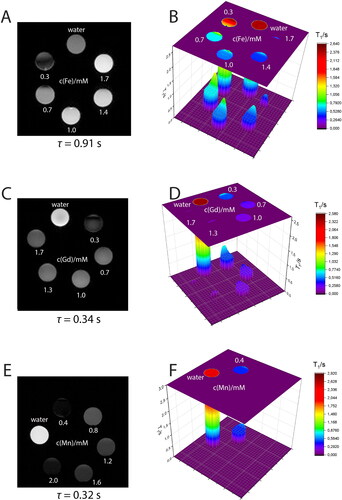 Figure 4. T1 contrasting properties of (A, B) Ferritis, (C, D) Gadolinis and (E, F) Manganis nanoparticles measured using a 9.4 T MRI spectrometer. The left images are T1-weighted images obtained using the MRI scanner at different τ values, whereas the right graphs are the corresponding T1 times extracted from the maps.