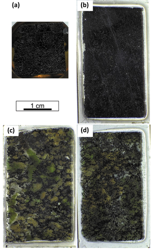 Figure 3. Representative samples of the UG-2 reference chromitite and representative samples of the UG-2E chromitite showing its textural variability. (a) Sample of the massive UG-2 reference mounted in epoxy puck (middle of chromitite). (b) Sample of the massive UG-2E (towards bottom of chromitite). (c) Sample of the patchy UG-2E (middle of chromitite). (d) Sample of the disseminated UG-2E (middle of chromitite). UG-2E samples made into 100-micron-thick thin sections.