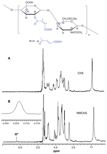 Figure S2 1H NMR spectra of the rare ChS (A) and synthesized NMChS (B).Abbreviations: 1HNMR, nuclear magnetic resonance spectroscopy; NMChS, O-maleyl chondrotin sulfate; ChS, chondrotin sulfate.