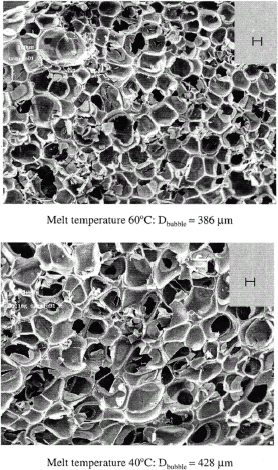 Figure 5 Scanning electron micrographs of SCFX extrudates showing the cellular structure obtained at two melt temperatures: (a) 60°C and (b) 40°C. Lowering the melt temperature led to an increase in average bubble diameter and greater overall expansion.