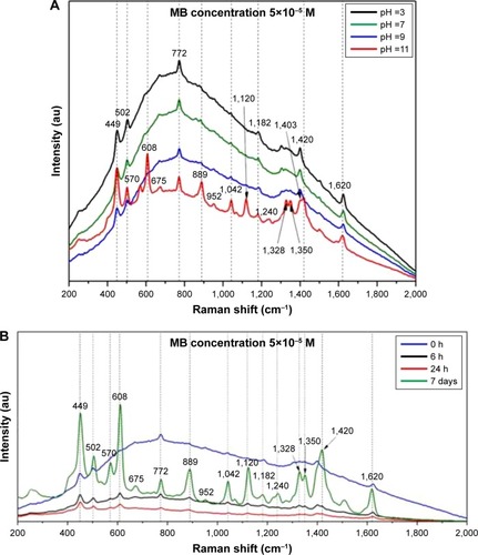 Figure 6 pH and time dependence of SER spectra of MB.Notes: (A) pH dependence of SER spectra of MB acquired using as substrates 1 mL OH AuNPs. (B) Time-dependent SER spectra of MB acquired using as substrates 1 mL OH AuNPs. The spectra were recorded using a 785 nm excitation laser. The arrows indicate the precise position of the vibrational bands.Abbreviations: SER, surface-enhanced Raman; MB, methylene blue; OH, Origanum herba; AuNP, gold nanoparticle; au, atomic unit.