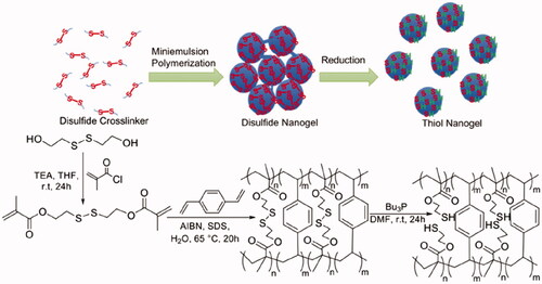 Figure 2. A synthetic method for the generation of thiol polymer nanogels. AIBN: 2,2′-azobis(2-methylpropionitrile); Bu3P: tributylphosphine: SDS: sodium dodecyl sulfate; TEA: trimethylamine; THF: tetrahydrofuran; r.t.: room temperature; DMF: N,N-dimethylformamide. Reproduced from Zhang et al. (Citation2021) with permission from the American Chemical Society.