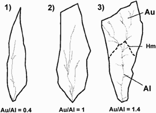 Figure 3. Examples of basin shapes in Sarno-Quindici-Siano-Bracigliano region. Basin-shape factor (BSF) is defined as ratio of upper area of basin (Au) to lower area (Al); boundary between these two areas is at location of average height [hm = (hmax + hmin)/2] of basin. The figure is modified after CitationPareschi et al., 2000.