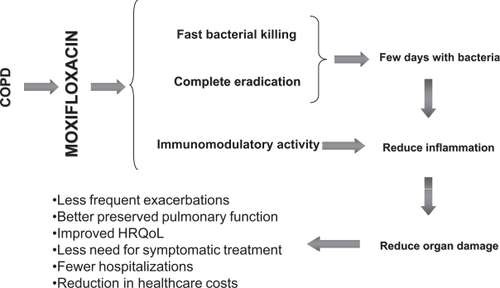 Figure 5 The “virtuous circle” of antibiotic treatment of exacerbations of CB and COPD. Derived from CitationDe Benedetto and Sevieri (2006).