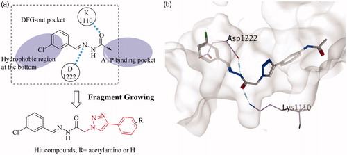 Figure 2. (a) Fragment growing based virtual screening; (b) the hit compound docked into c-Met.