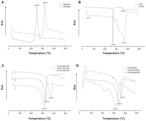 Figure 6 DSC curves of (A) pure CS and Alg, (B) pure RSV and PLGA, (C) uncoated PLGA, PLGA-CS3, and PLGA-Alg3 NPs, and (D) physical mixture of PLGA/RSV, PLGA/CS/RSV and PLGA/Alg/RSV.Abbreviations: RSV, trans-(E)-resveratrol; PLGA, poly(d,l-lactide-co-glycolide); CS, chitosan; Alg, alginate; NPs, nanoparticles.