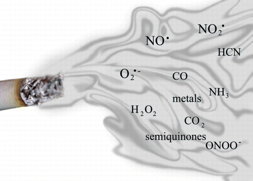 Figure 3. Oxidants in cigarette smoke. Nitric oxide (NO), nitrogen dioxides (NO2), carbon monoxide (CO), ammonia (NH3), cyanide (HCN), hydrogen peroxide (H2O2), superoxide (O2−), and peroxynitrite (ONOO‐). (Full color version available online.)