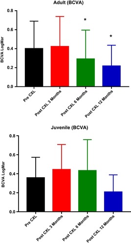 Figure 3 Diversity on BCVA between pre-treatment and post-treatment both in the adult and juvenile groups (*significant from pre-treatment at P<0.05).