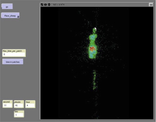 Figure 4. Preferred feeding sites for sheep showing clustering from a prototype ABM using NetLogo software (red indicates high density).